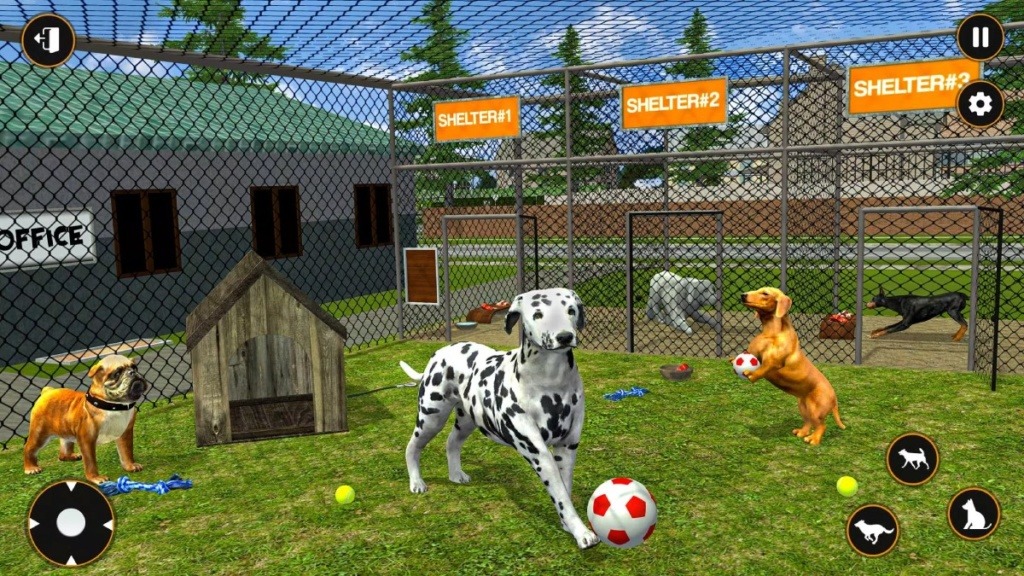 Animal Shelter 2